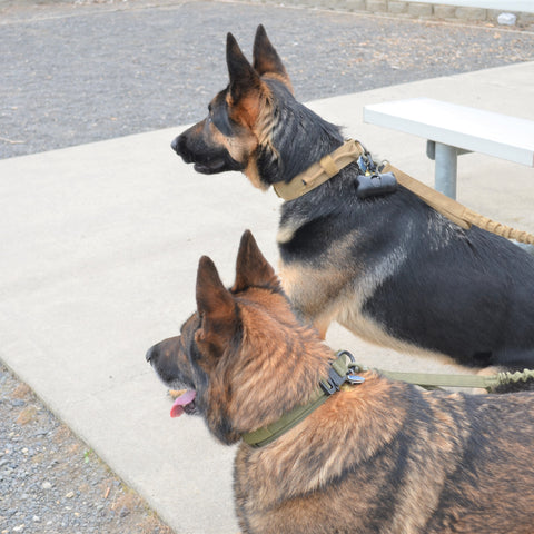 Military Dog Tactical Harness