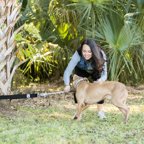 Dog Super Tug Toy