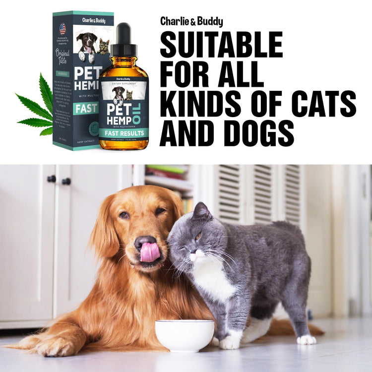 Hemp Oil for Dogs