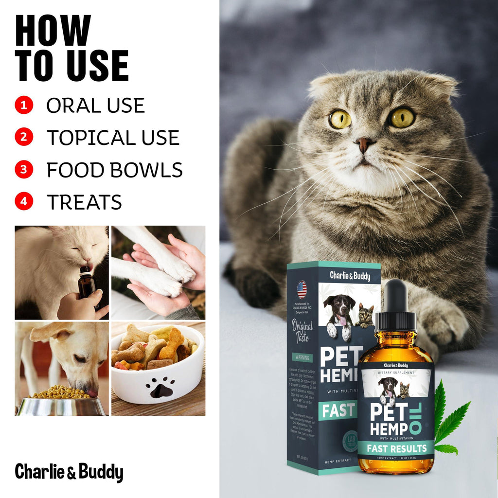 Hemp Oil for Dogs