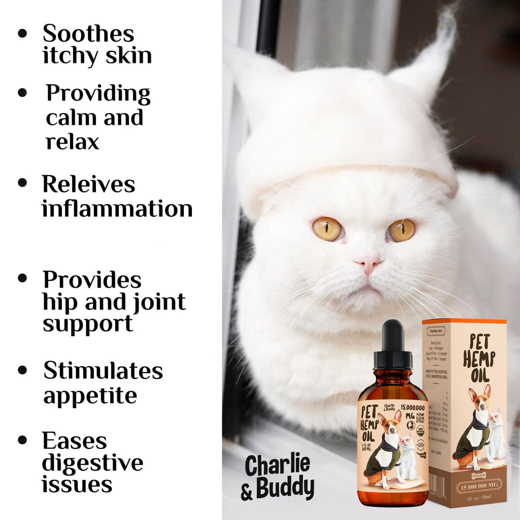 Charlie Buddy Hemp Oil for Dogs