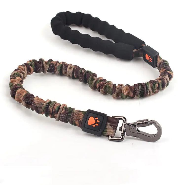 Large Elastic Dog Leash