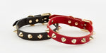 Premium  Golden Spike Red Collar