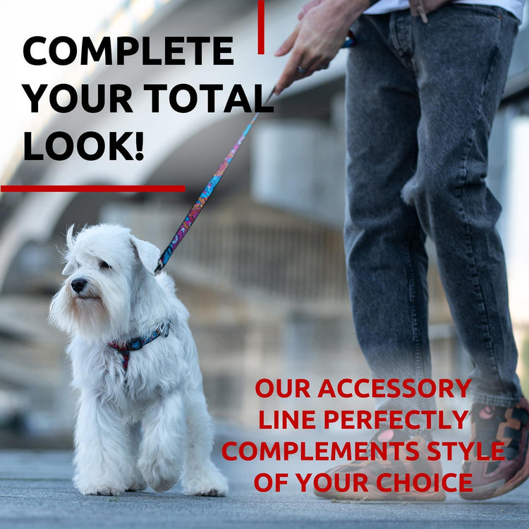 Dog Leash for Small and Medium