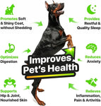 Hemp & Salmon Oil for Dogs