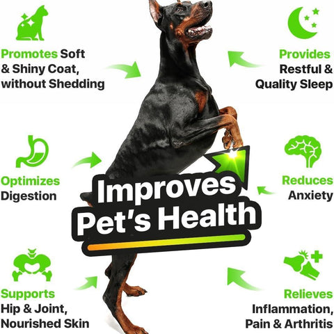 Hemp & Salmon Oil for Dogs