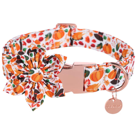Autumn Bowtie Dog Collar