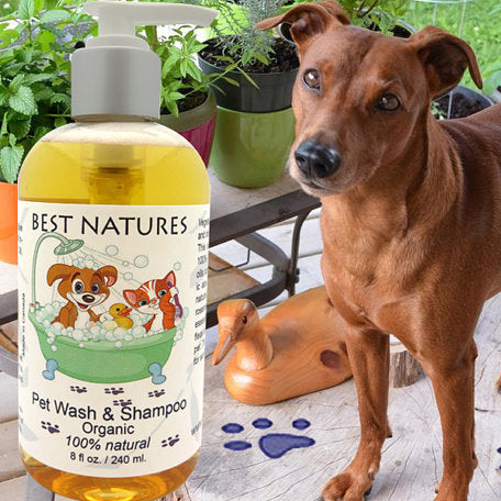 Organic Pet Wash & Shampoo