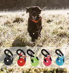 Dog Paw Reflective Leash with Padded Handle