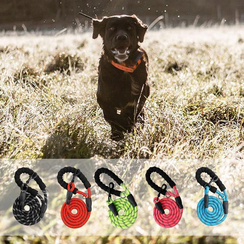 Dog Paw Reflective Leash with Padded Handle