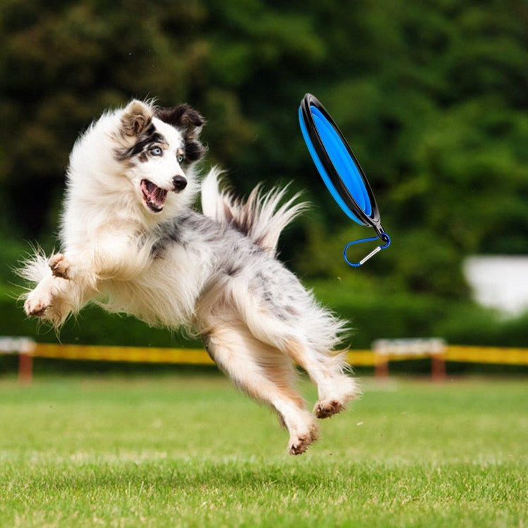 2-in-1 Dog Water Bottle with Collapsible Bowl