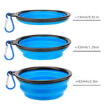 2-in-1 Dog Water Bottle with Collapsible Bowl