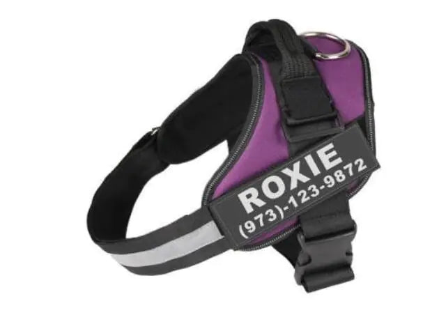 Personalized No Pull Harness