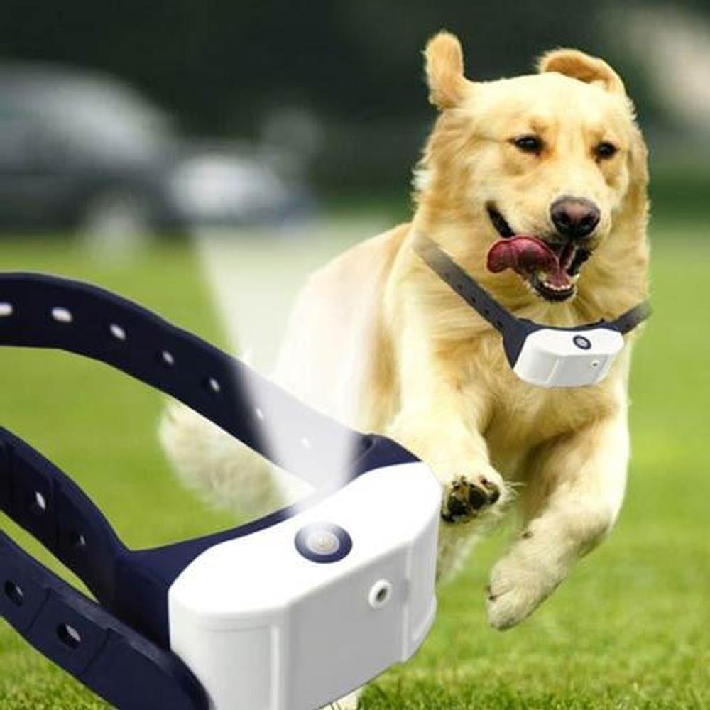 Rechargeable Citronella Dog Bark Collar