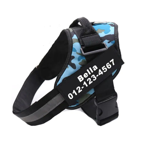 Personalized No Pull Harness