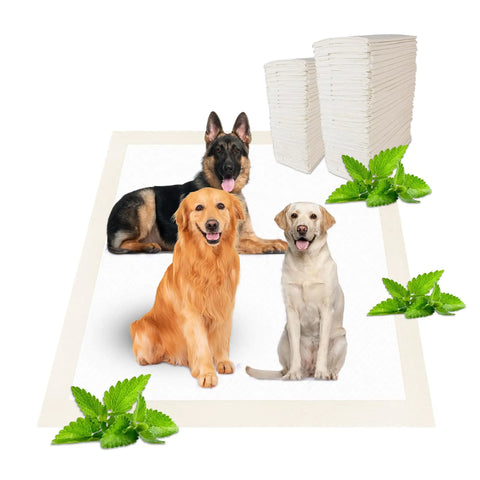 Mint Scented Puppy Pads